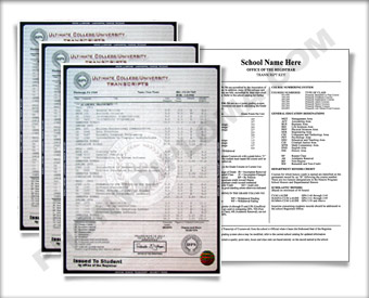 International College Transcripts - Ultimate Package Inter TransUltimate